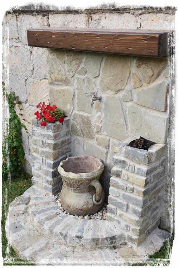 Marywilliam Bed & Breakfast Agropoli Exterior photo