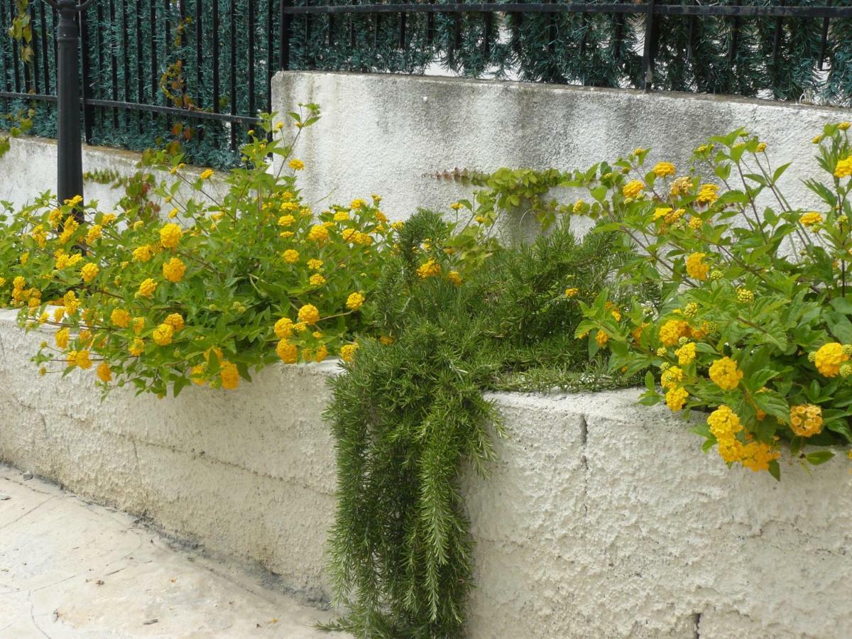 Marywilliam Bed & Breakfast Agropoli Exterior photo